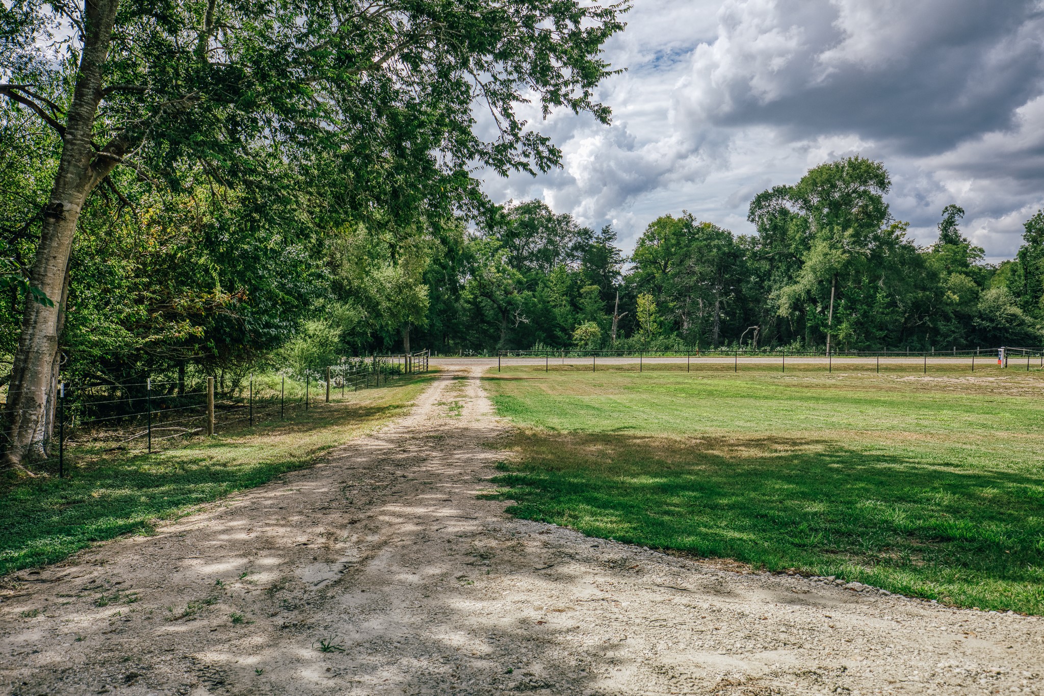 16401 Fm 1155 E Property Photo 28