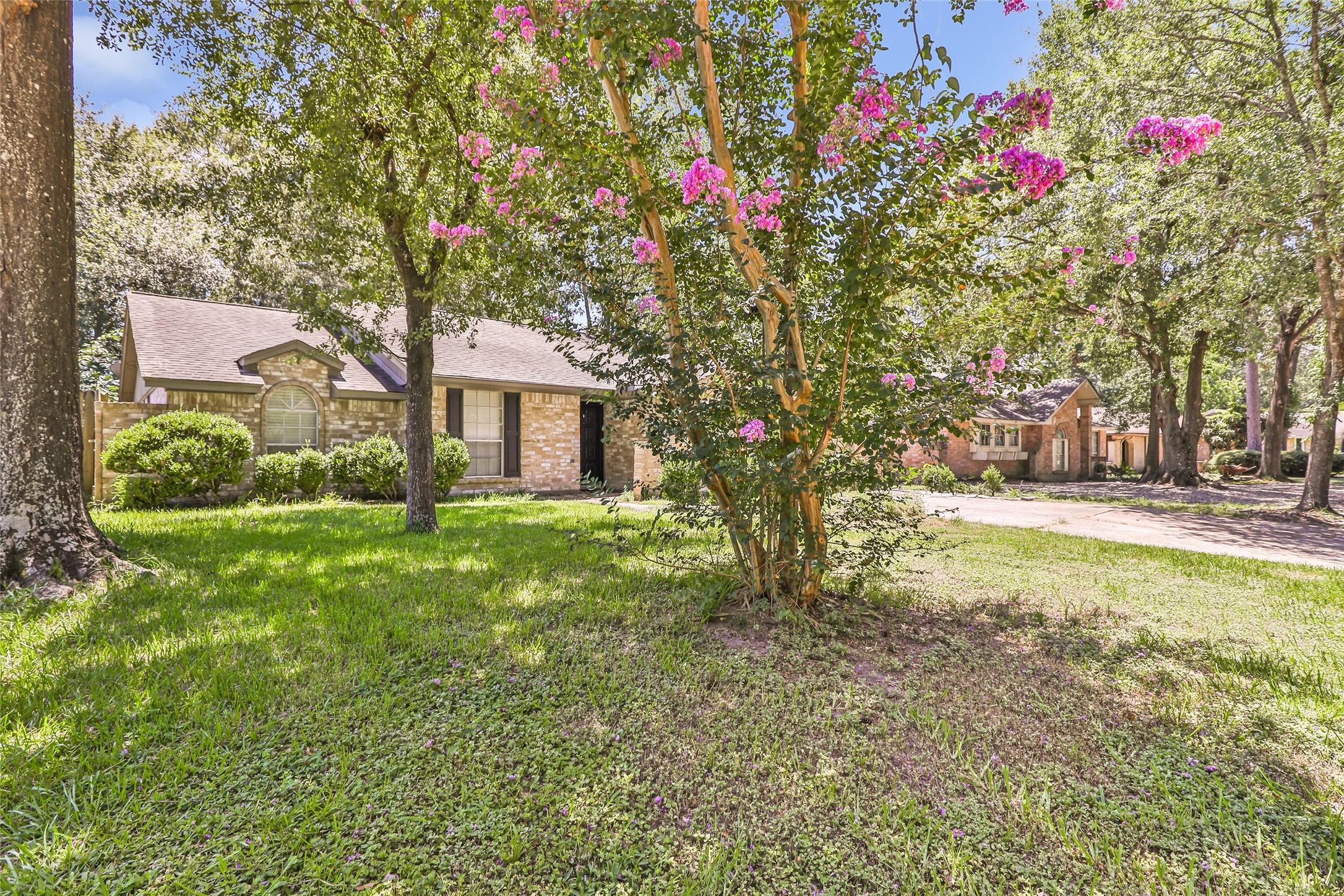 2414 Chanay Lane Property Photo 4