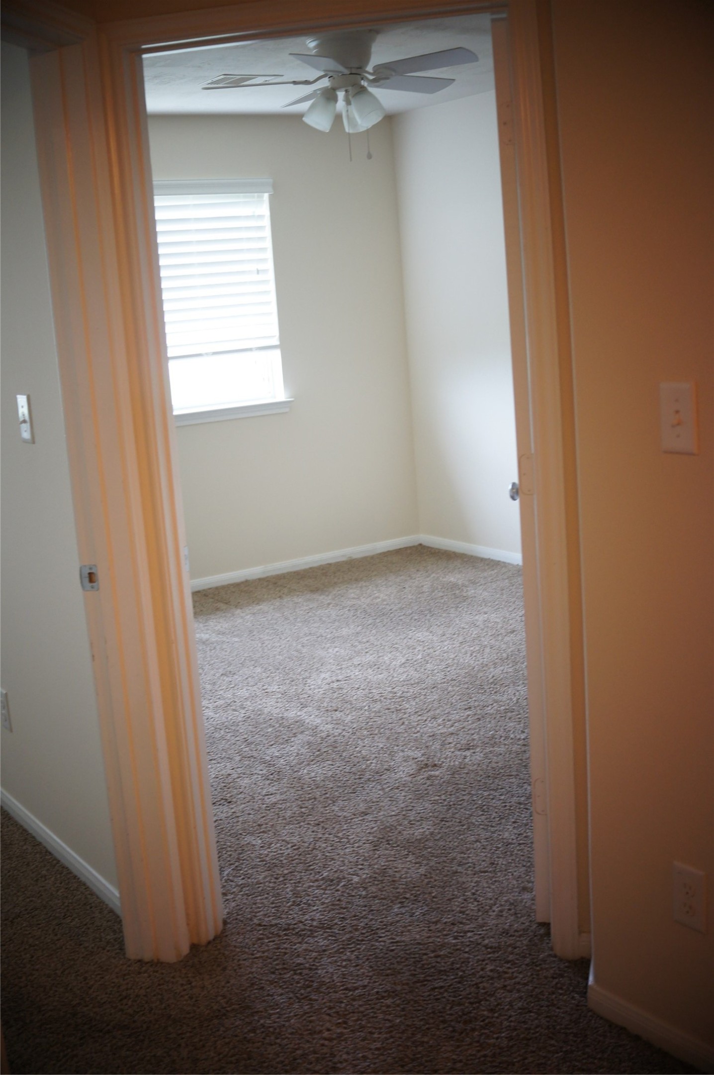 1619 Grable Cove Lane Property Photo 12