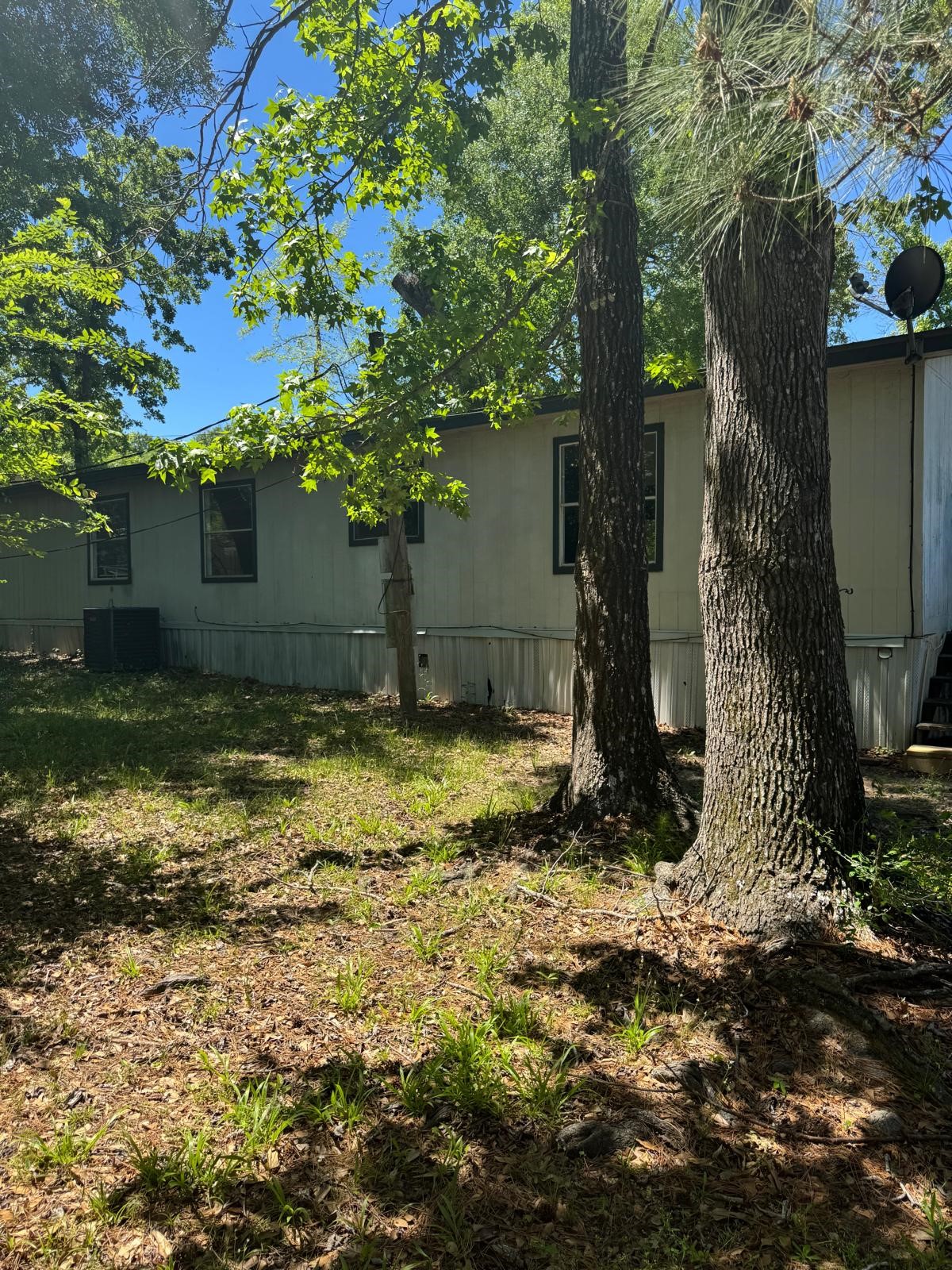 30307 Turriff Circle Property Photo 19