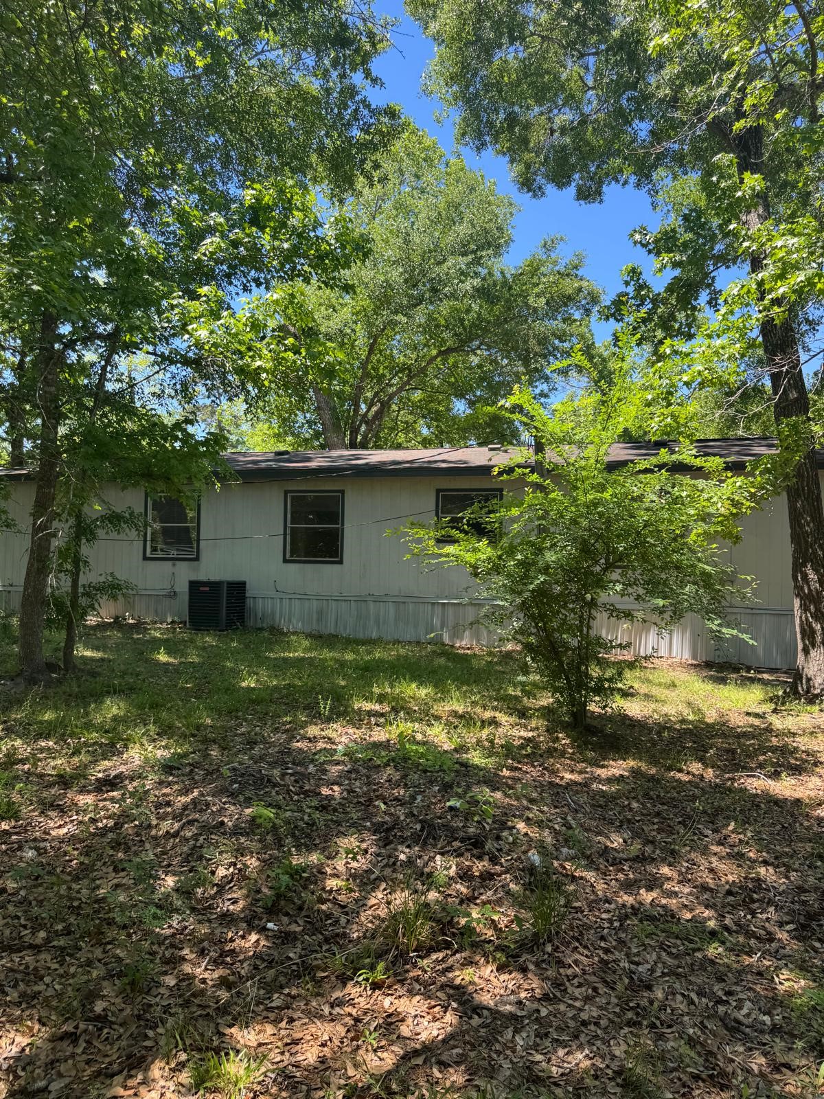 30307 Turriff Circle Property Photo 20