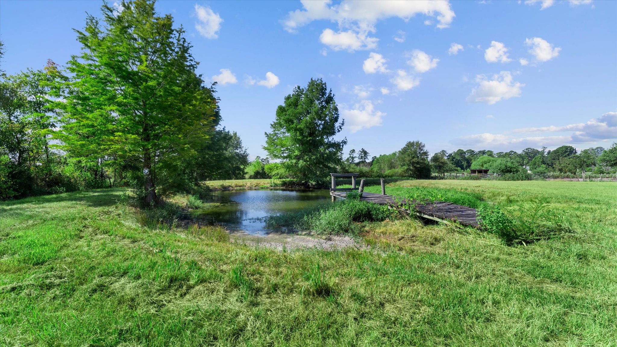 1023 Fm-1696 W Property Photo 20