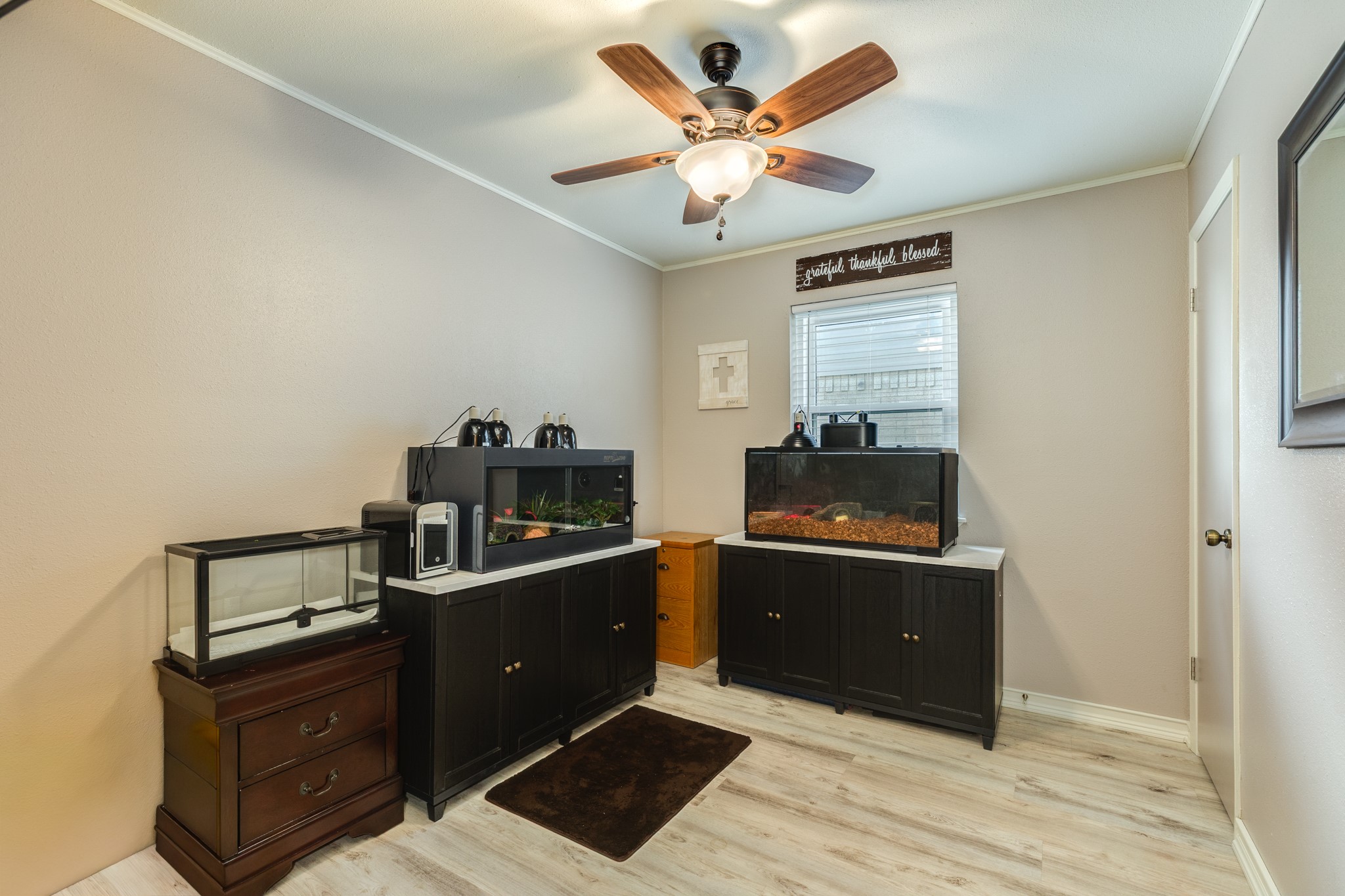 2118 Avenue D Property Photo 15
