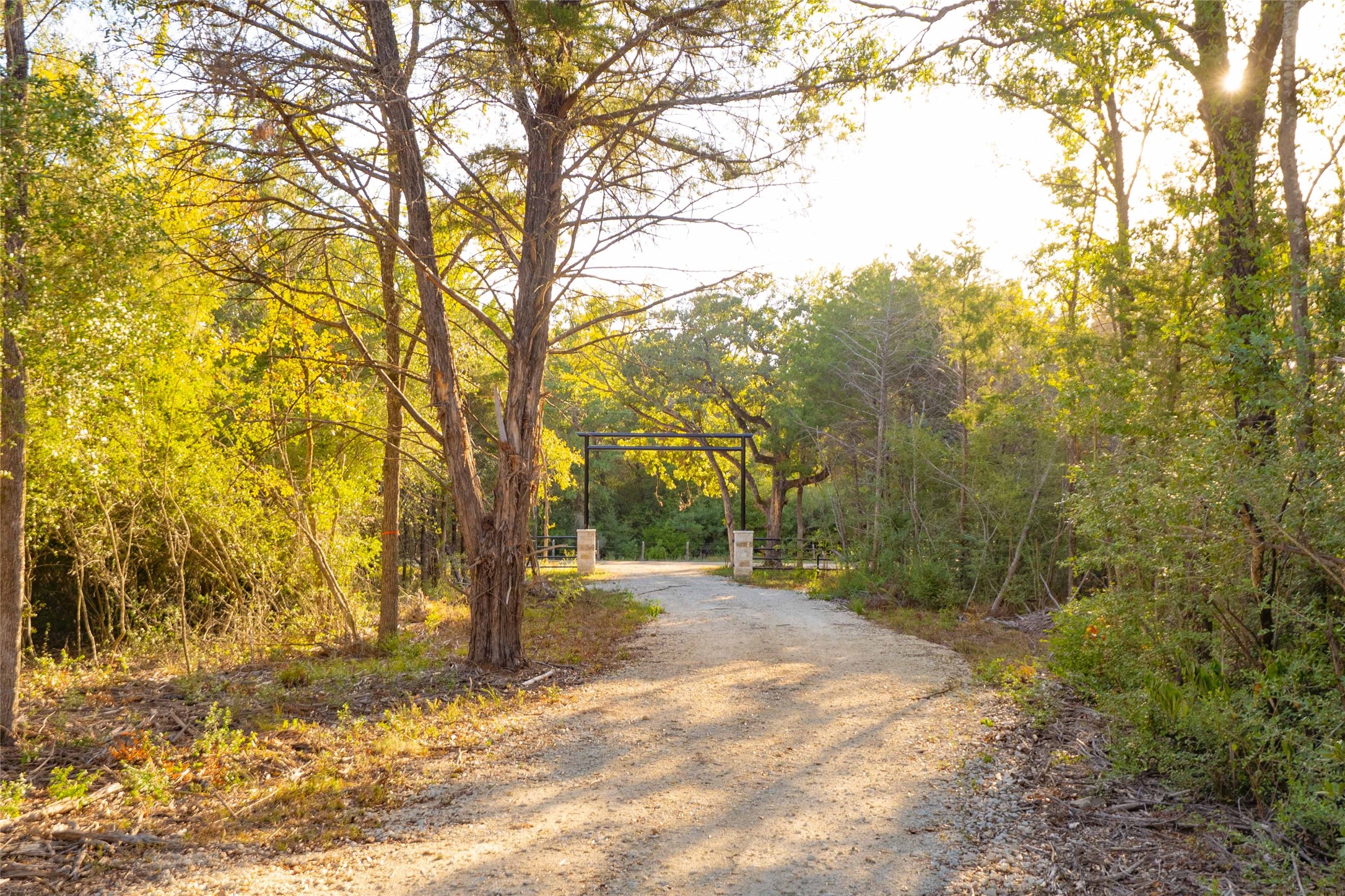 12504 Red Hill Rd Property Photo 4