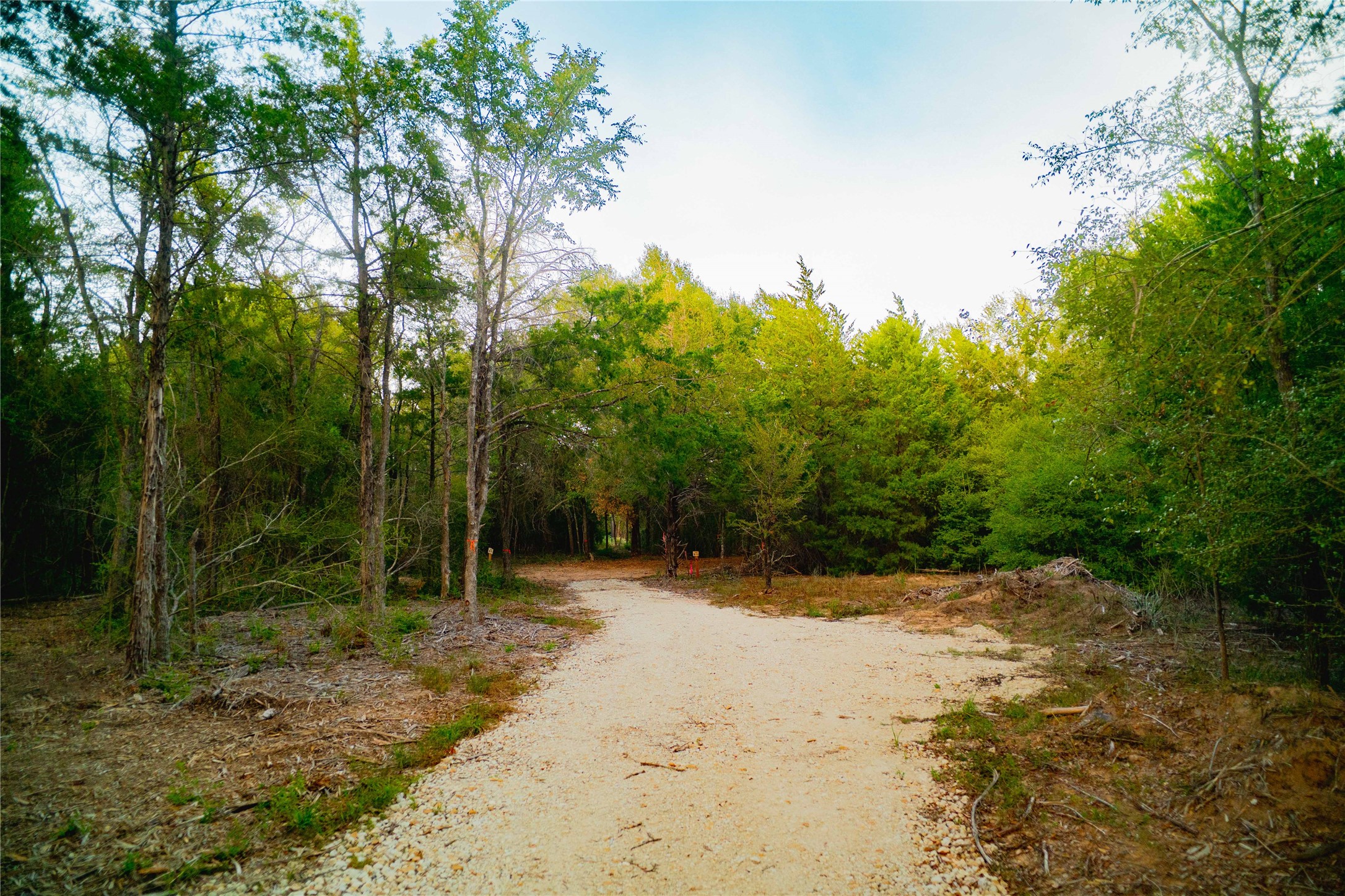 12504 Red Hill Rd Property Photo 5