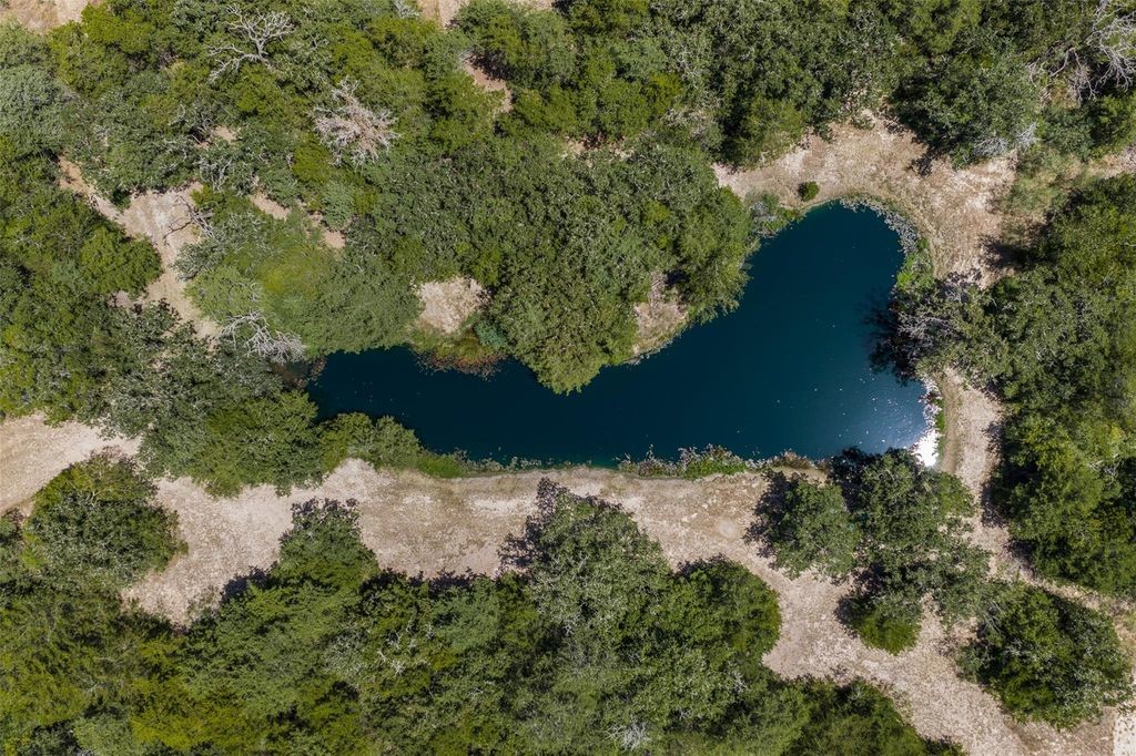 10791 Roy Road Property Photo 4