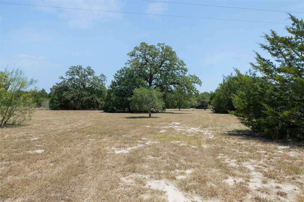 10791 Roy Road Property Photo 5