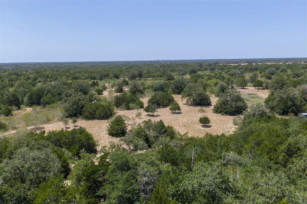 10791 Roy Road Property Photo 8
