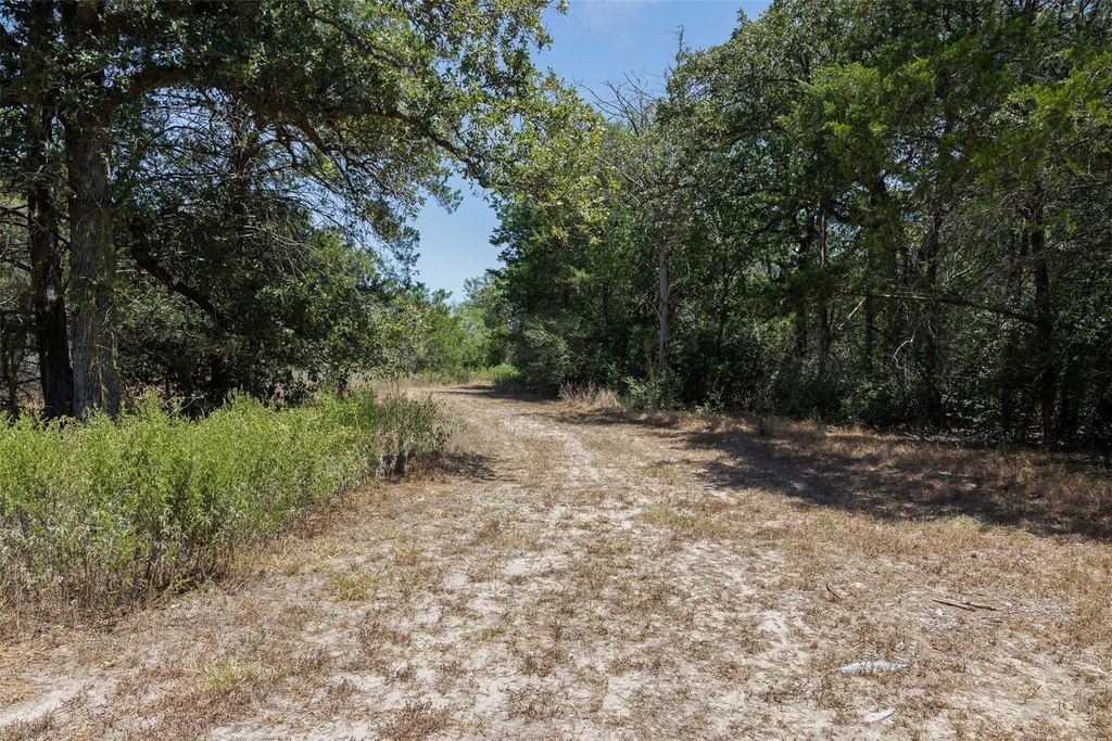 10791 Roy Road Property Photo 9