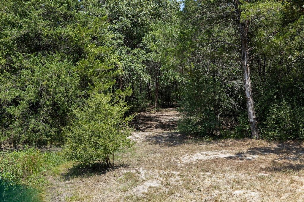 10791 Roy Road Property Photo 11