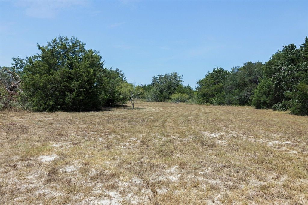 10791 Roy Road Property Photo 12