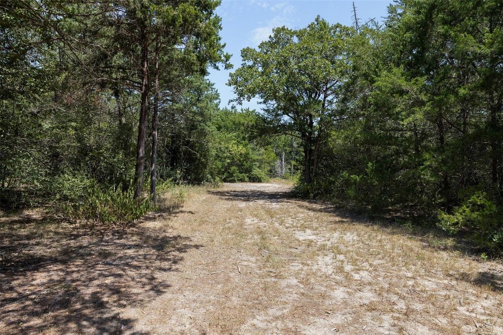 10791 Roy Road Property Photo 13