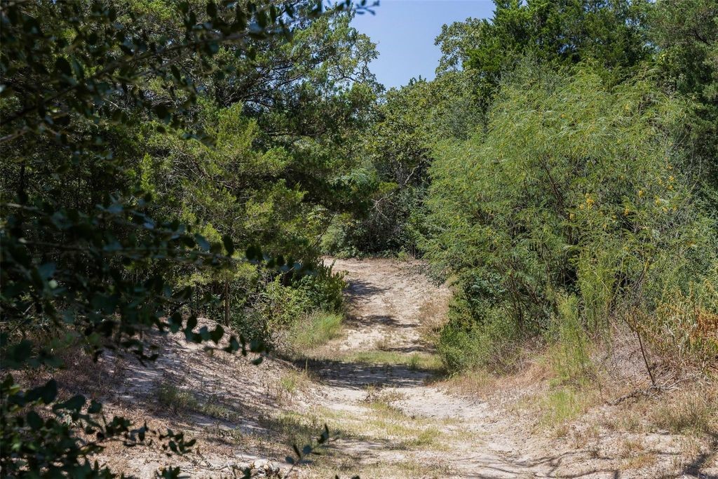 10791 Roy Road Property Photo 14