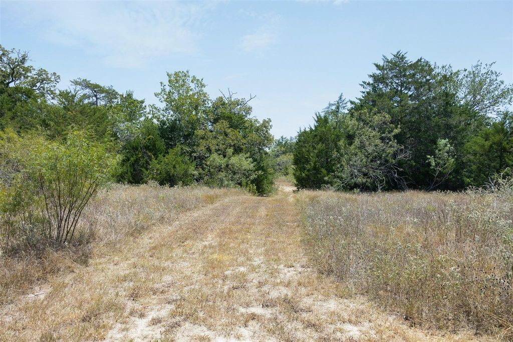 10791 Roy Road Property Photo 15