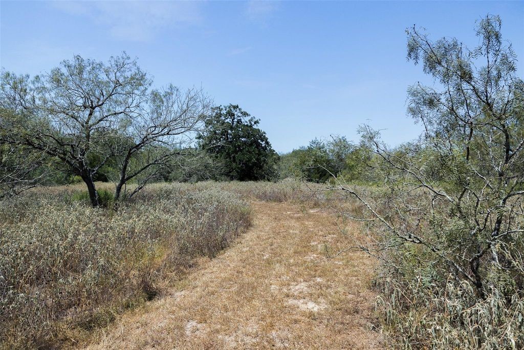 10791 Roy Road Property Photo 16