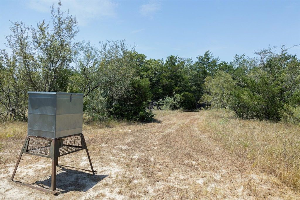 10791 Roy Road Property Photo 17