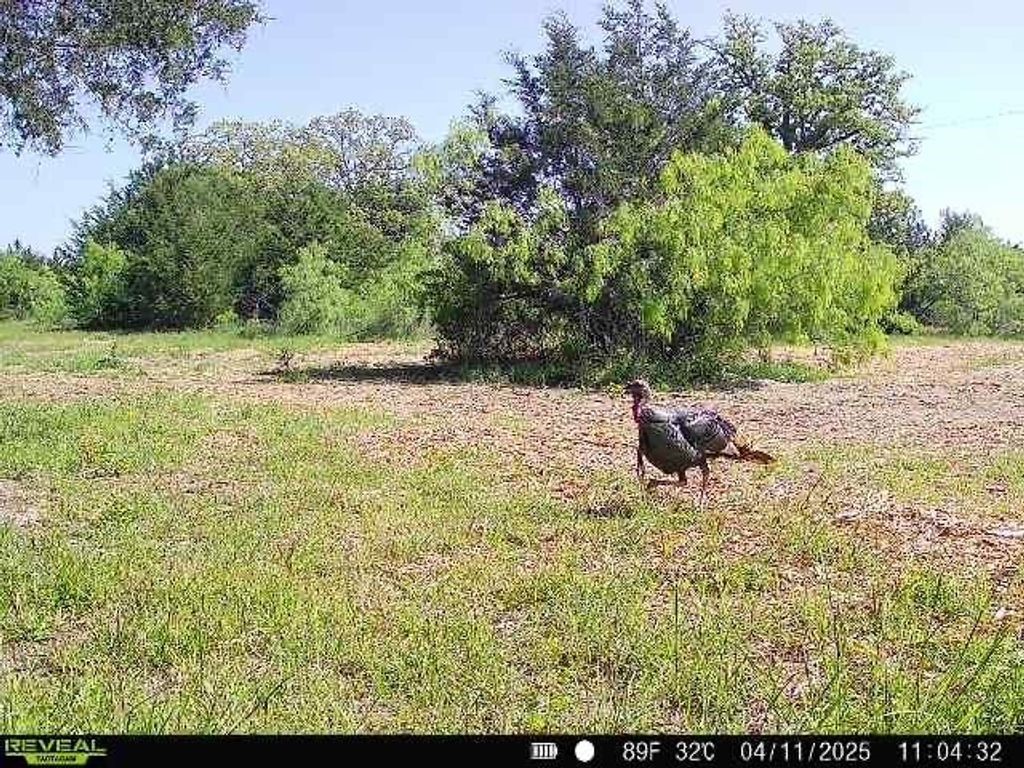10791 Roy Road Property Photo 24