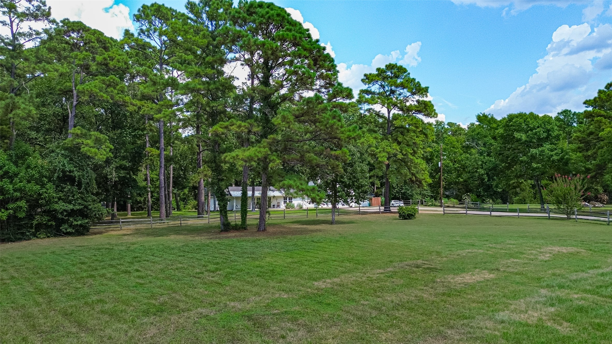 11580 Forest Trails Drive Property Photo 7