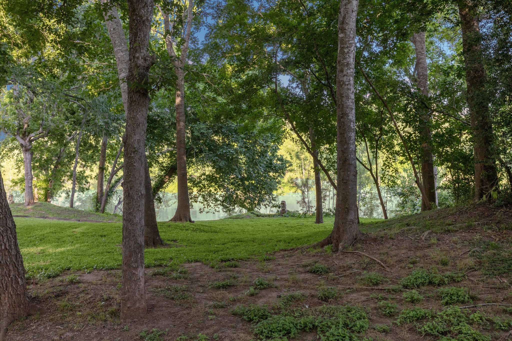3023 River Forest Drive Drive Property Photo 48