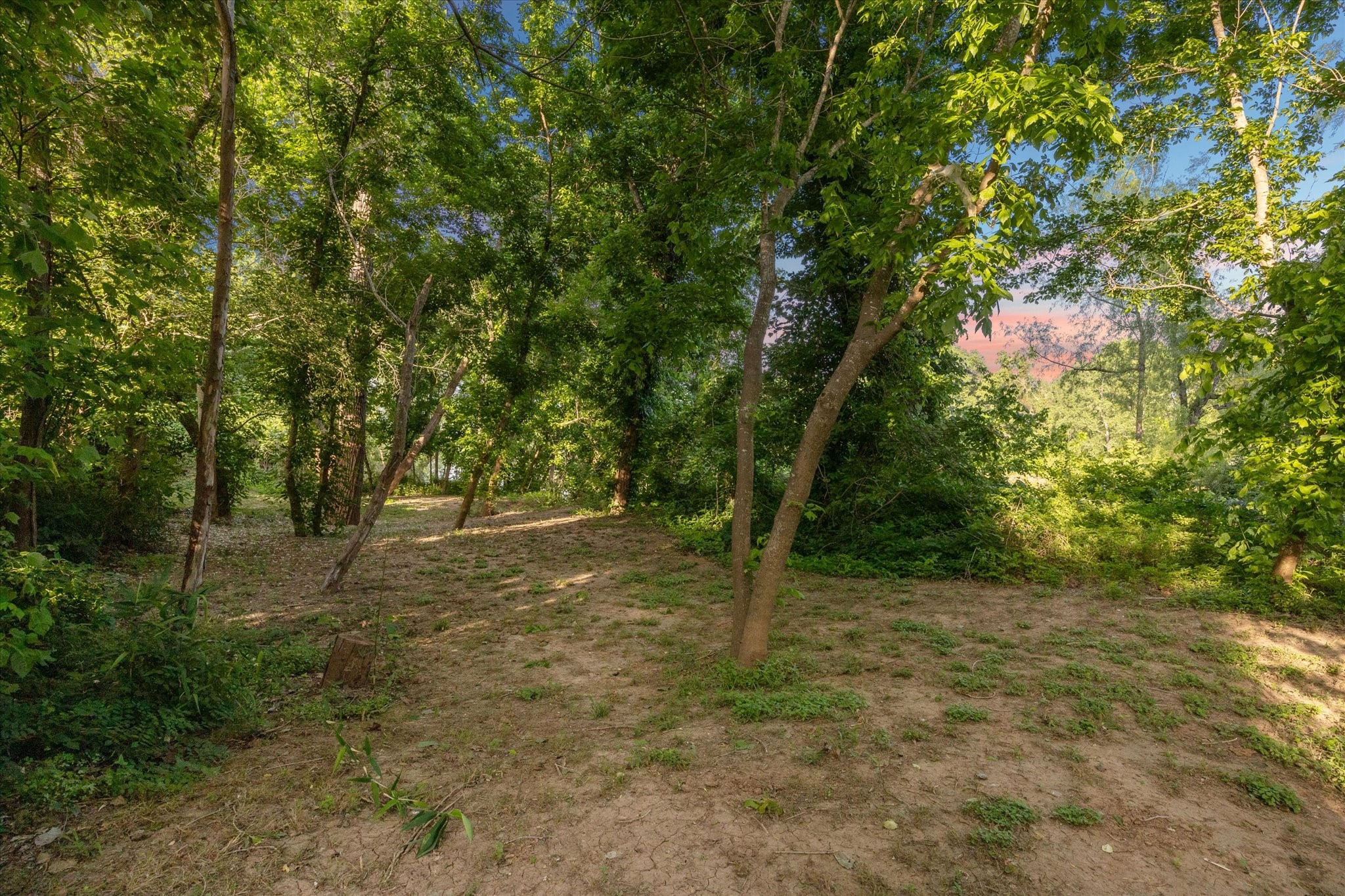3023 River Forest Drive Drive Property Photo 49