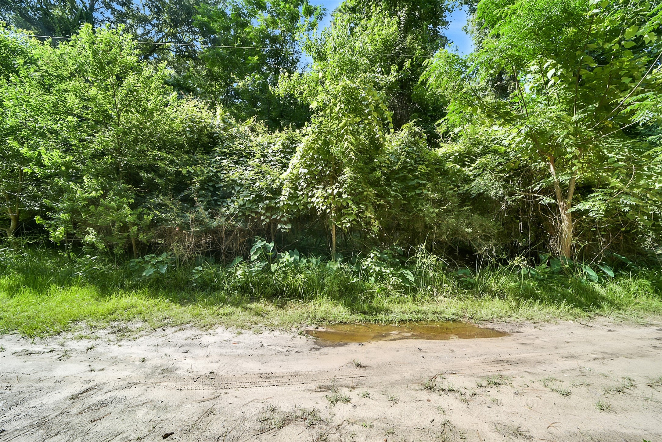 0 Boot Hill Rd Property Photo 3