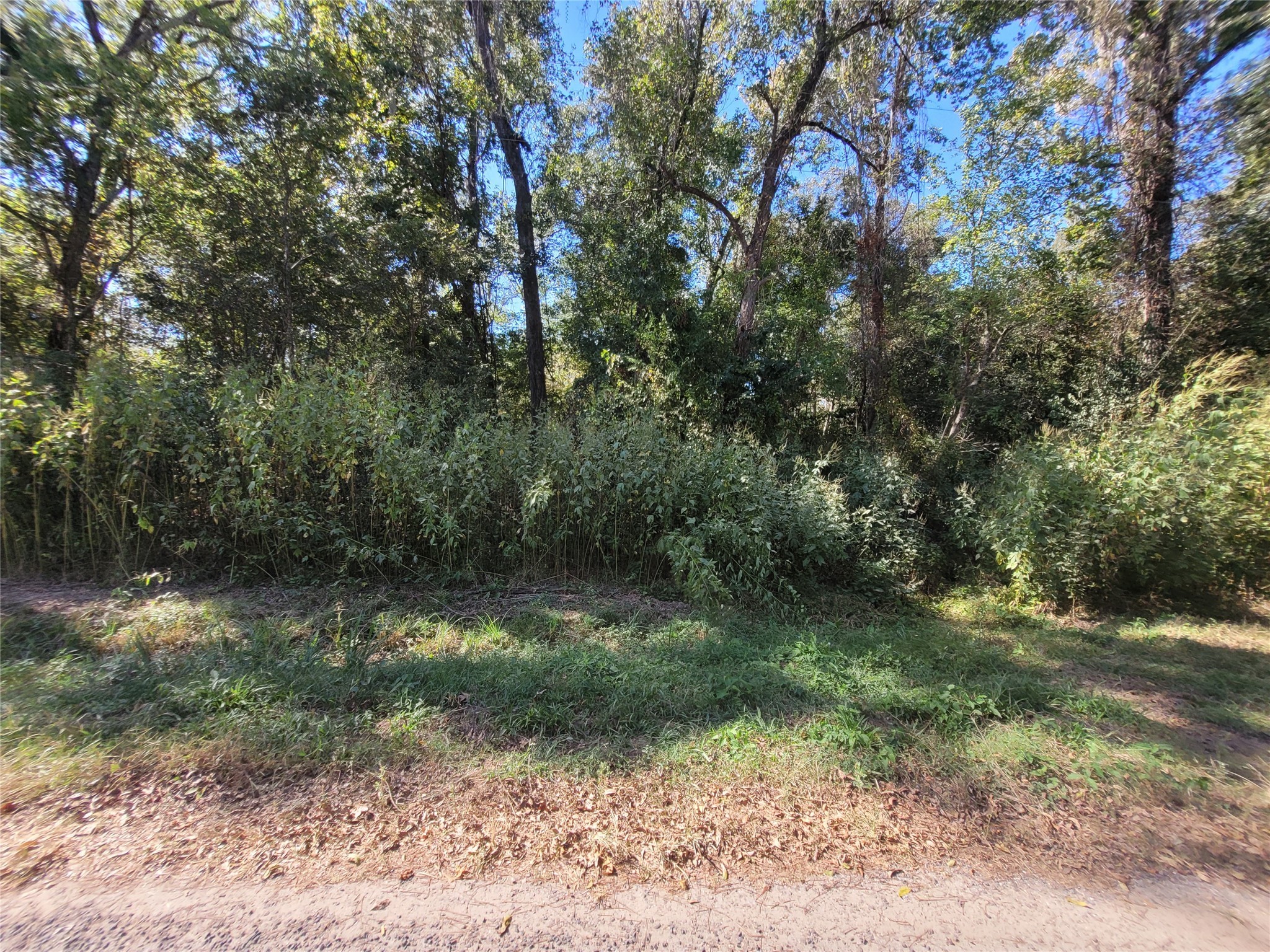 0 Lakeside Drive Property Photo 1