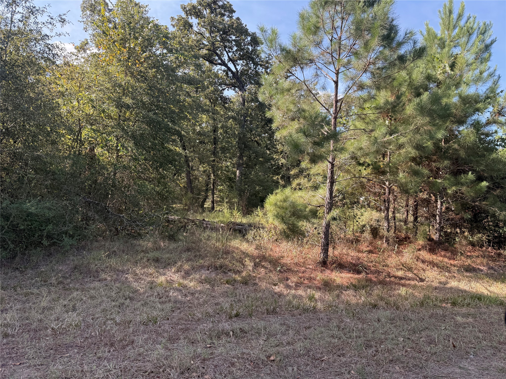 Tbd Deer Trail Property Photo 2