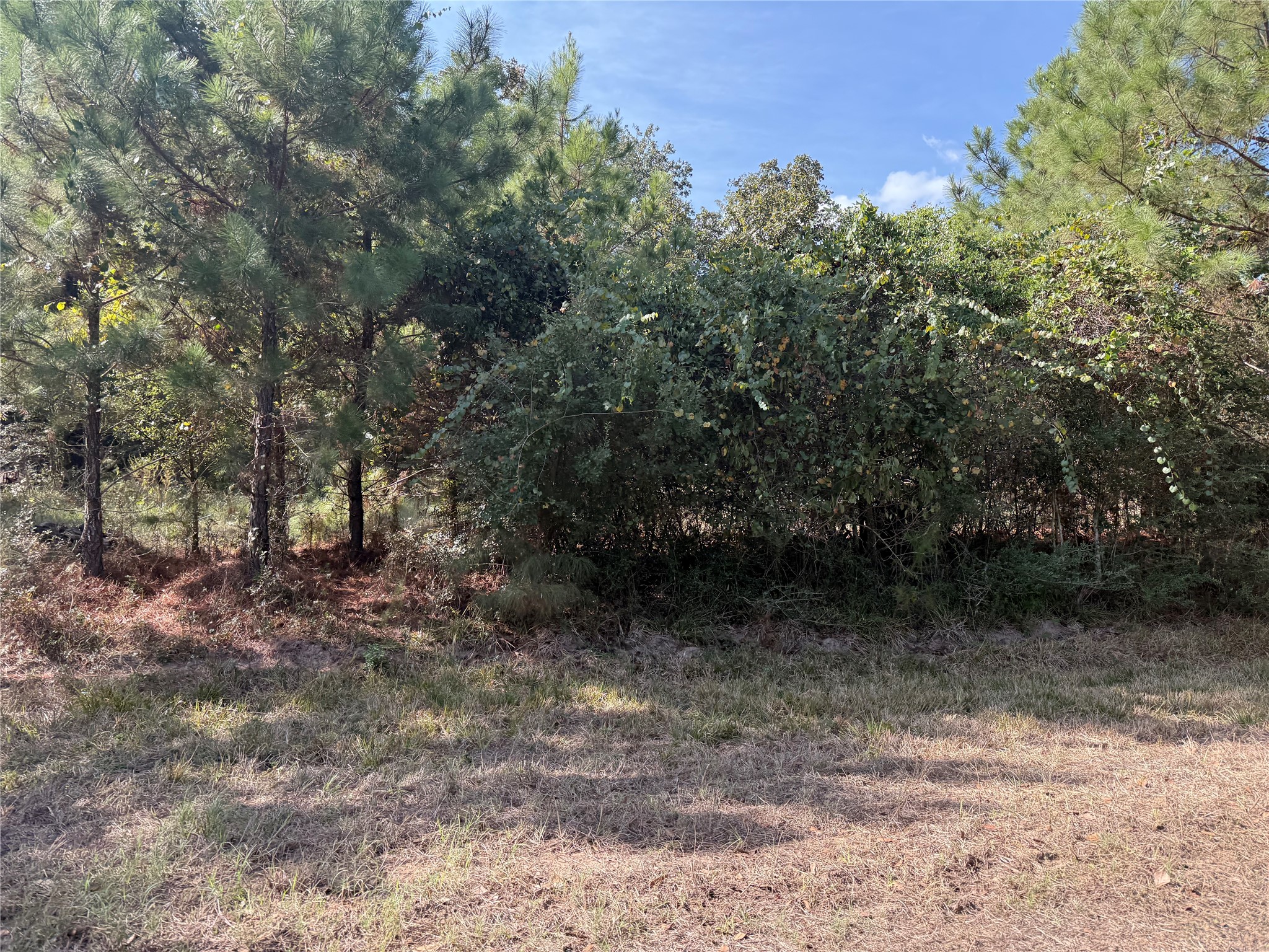 Tbd Deer Trail Property Photo 3