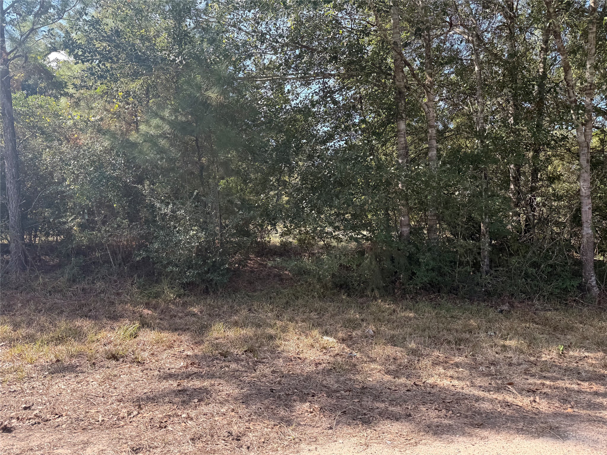 Tbd Deer Trail Property Photo 4