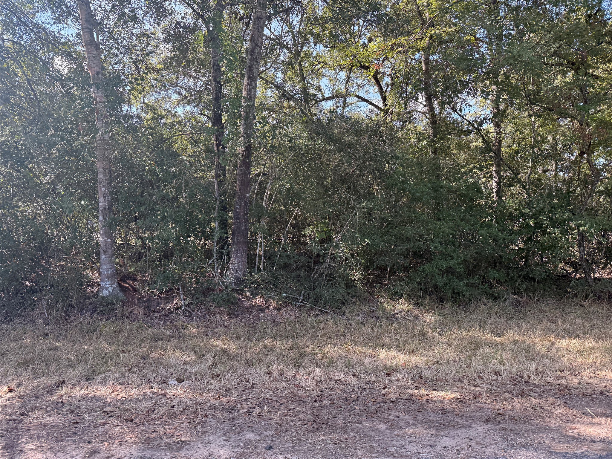 Tbd Deer Trail Property Photo 5