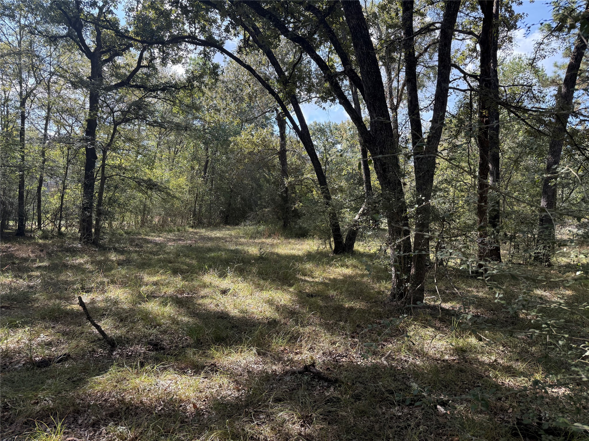 Tbd Deer Trail Property Photo 8