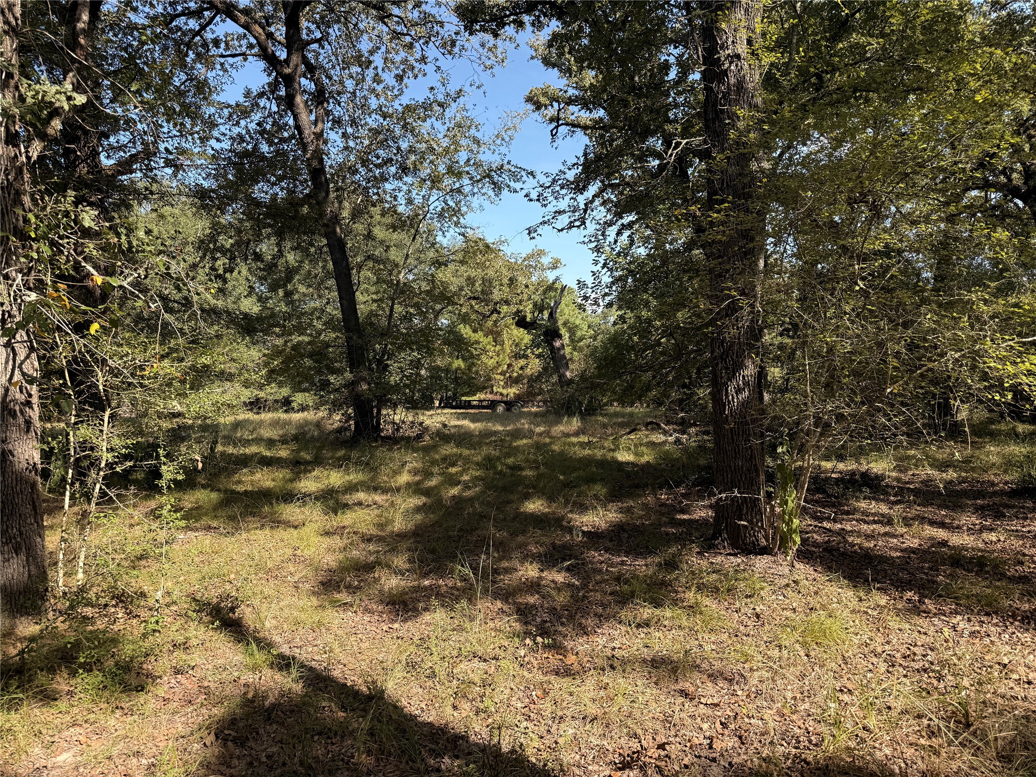 Tbd Deer Trail Property Photo 9