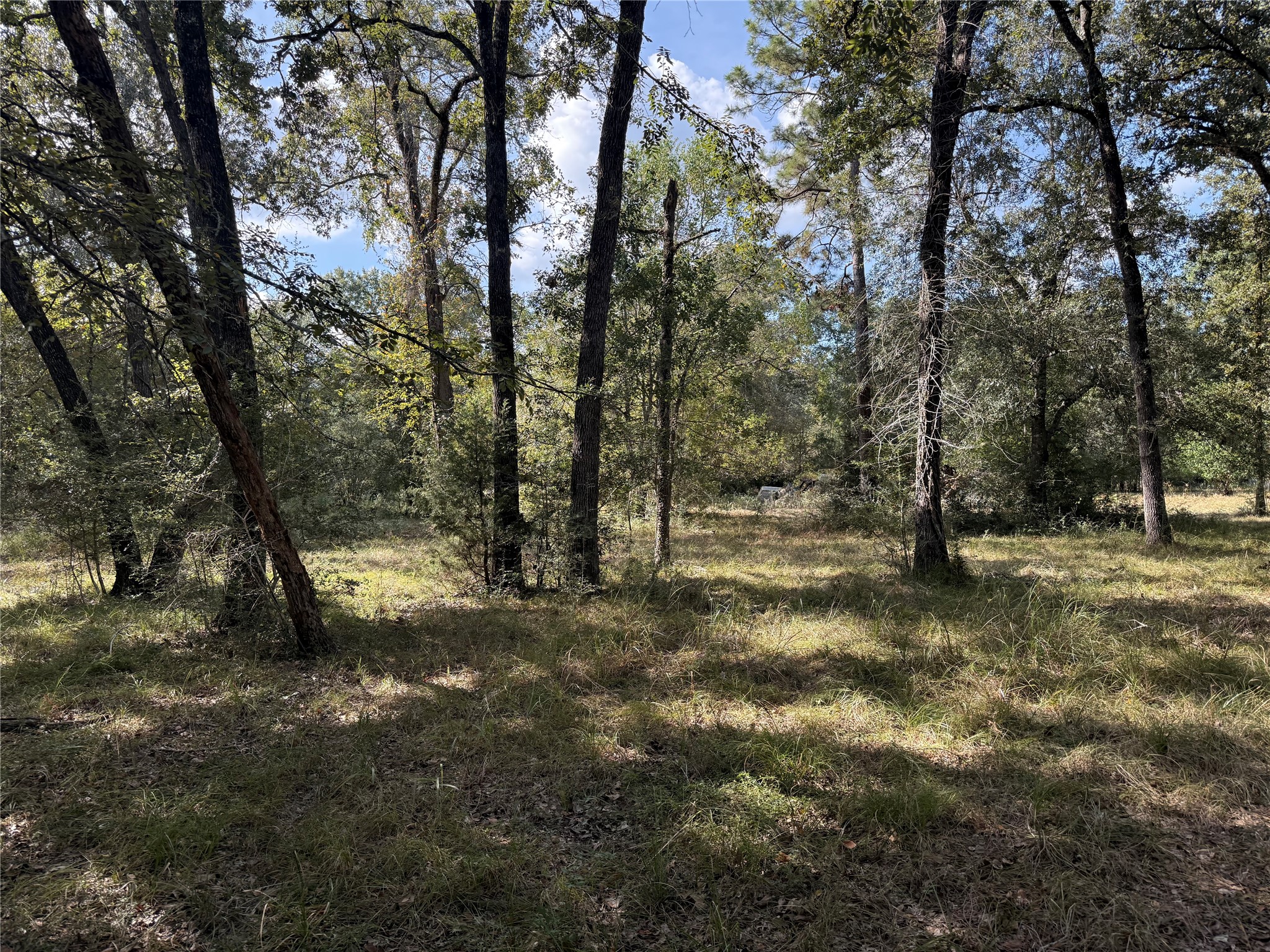 Tbd Deer Trail Property Photo 10