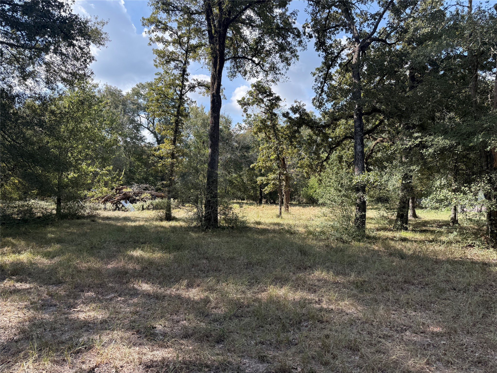 Tbd Deer Trail Property Photo 11