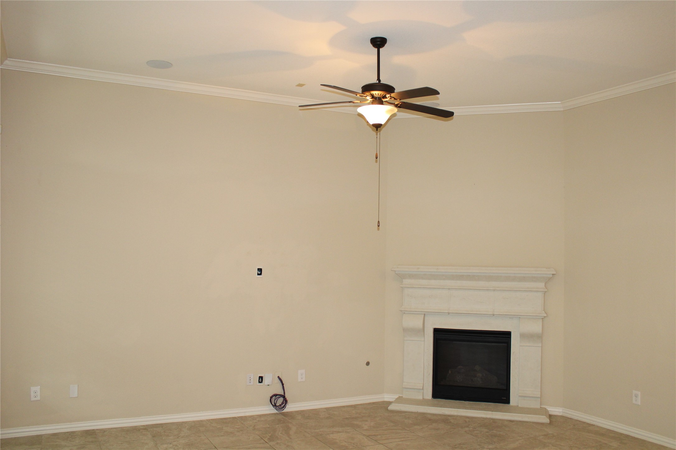 21911 Avalon Queen Drive Property Photo 6
