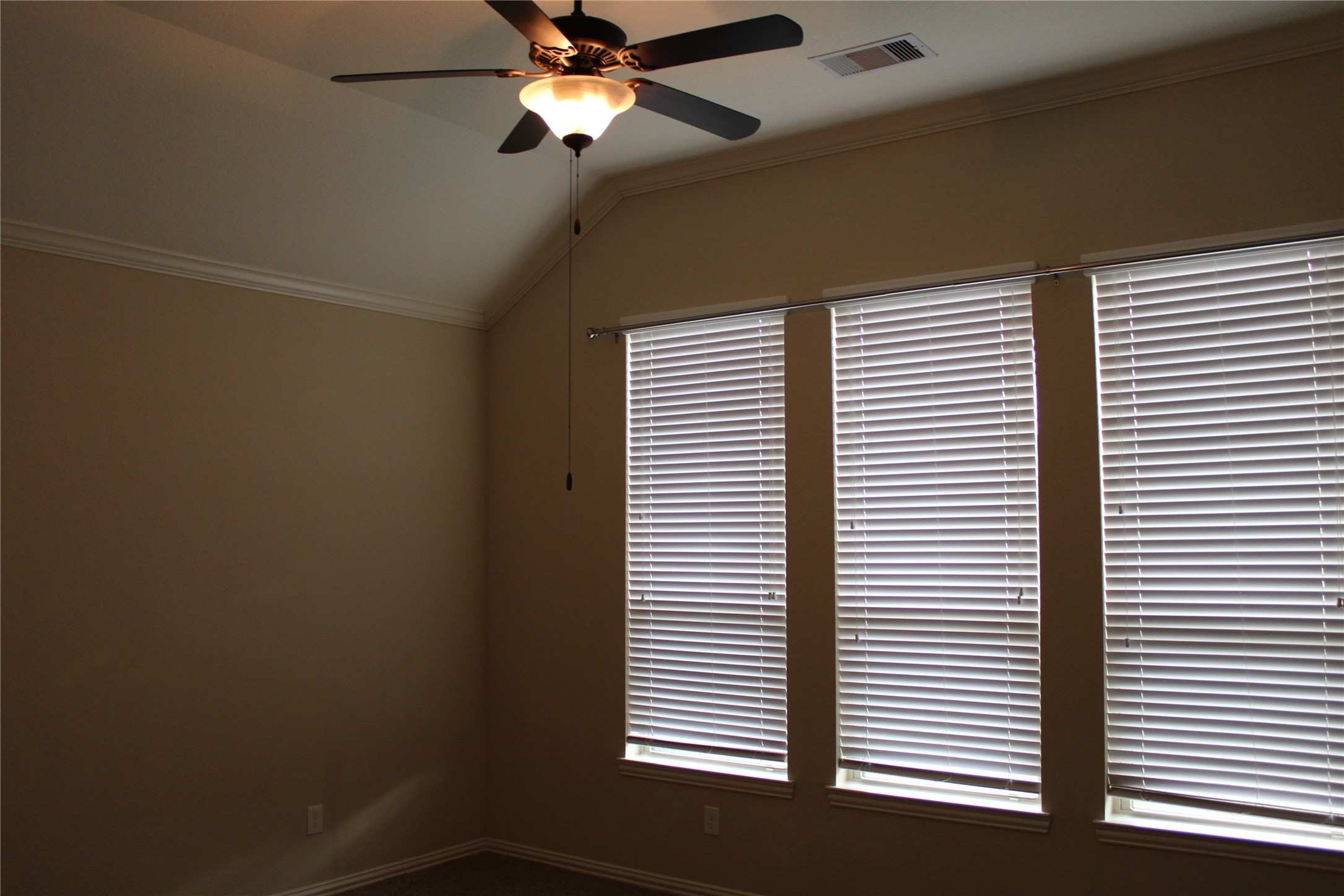 21911 Avalon Queen Drive Property Photo 7