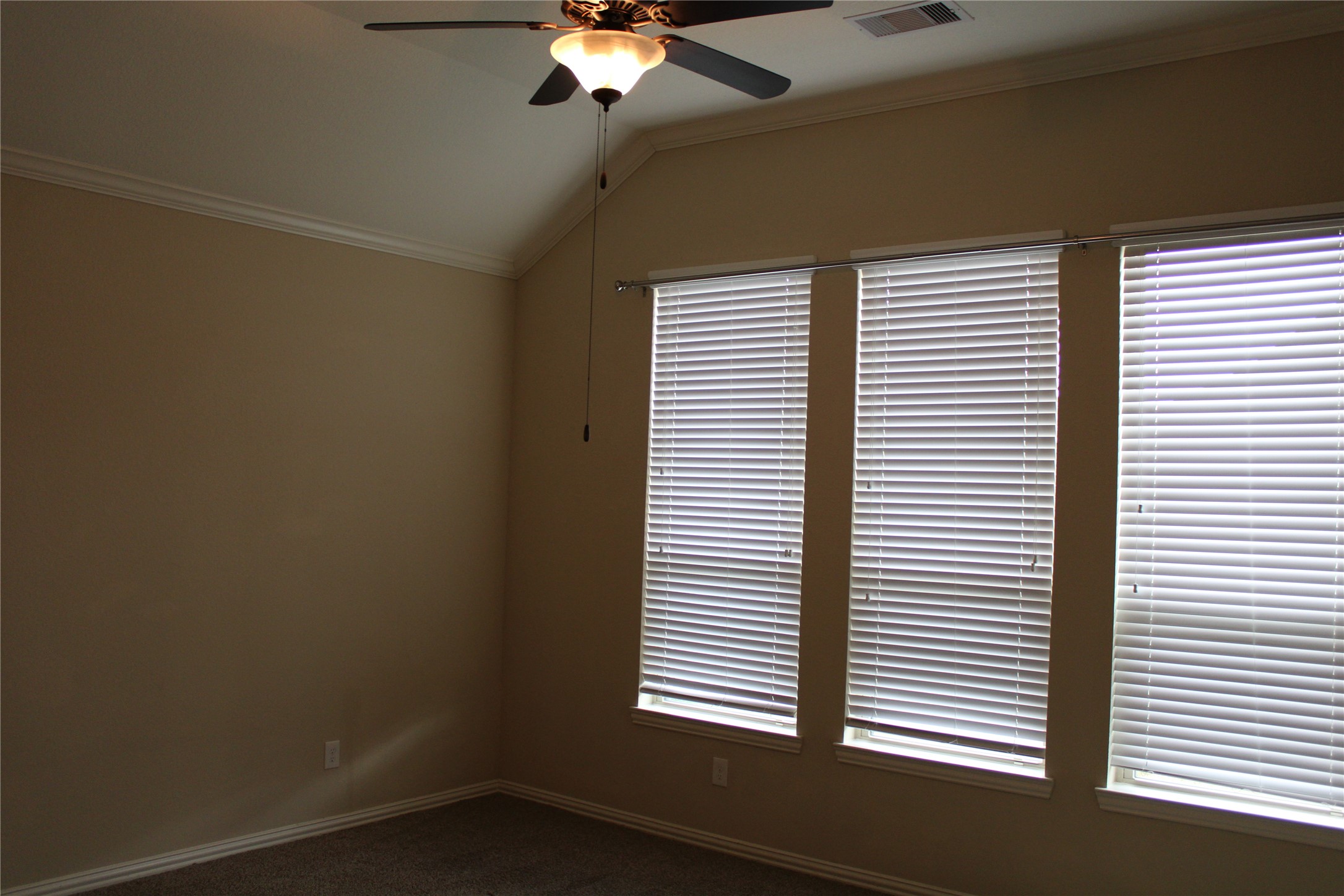 21911 Avalon Queen Drive Property Photo 8