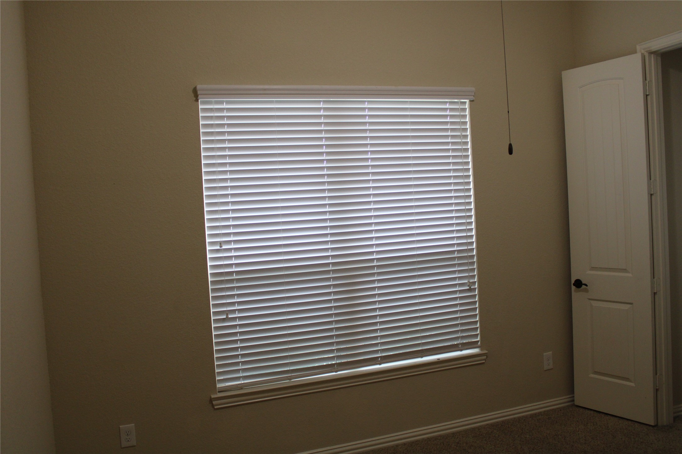 21911 Avalon Queen Drive Property Photo 11