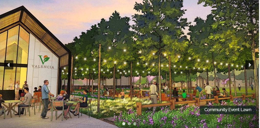 6411 Sparkling Citrus Street Property Photo 16