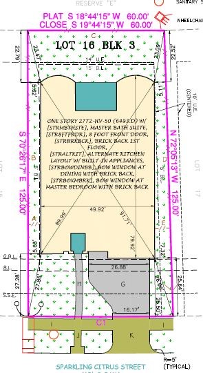 6411 Sparkling Citrus Street Property Photo 20