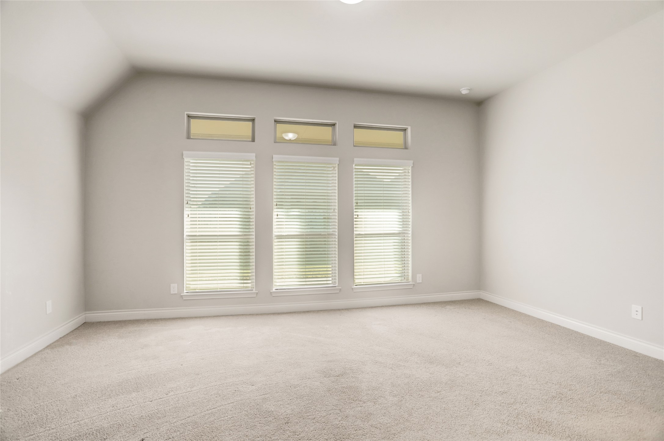 23319 Peareson Bend Lane Property Photo 14