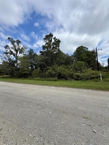 10585 Dogwood Drive Property Photo 1