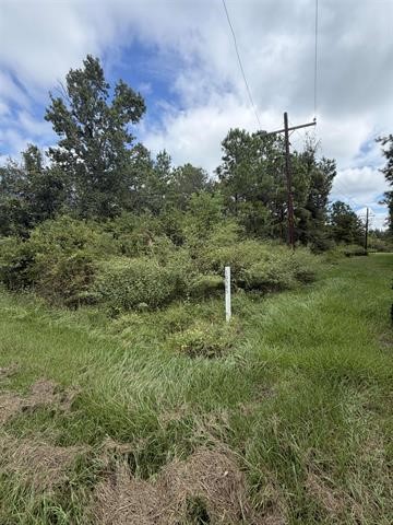 10585 Dogwood Drive Property Photo 3