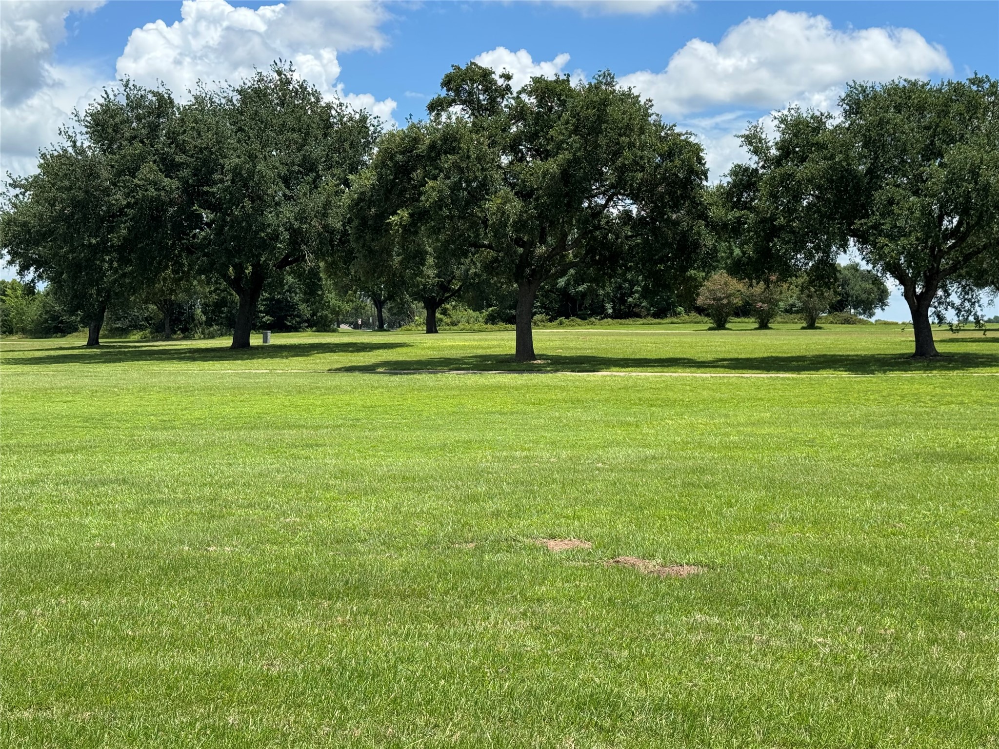 320 Mavanelle Cove Property Photo 4