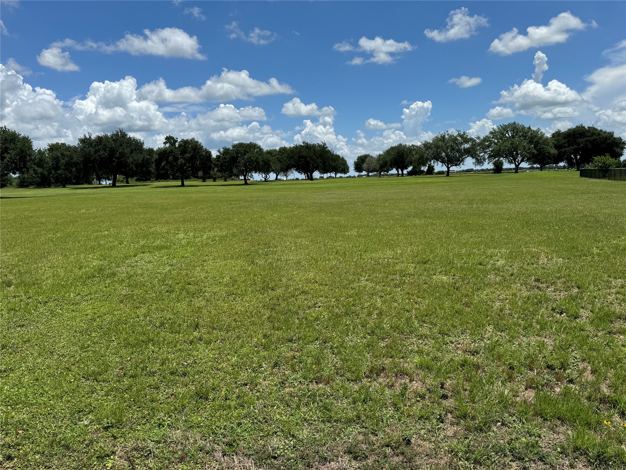 320 Mavanelle Cove Property Photo 13