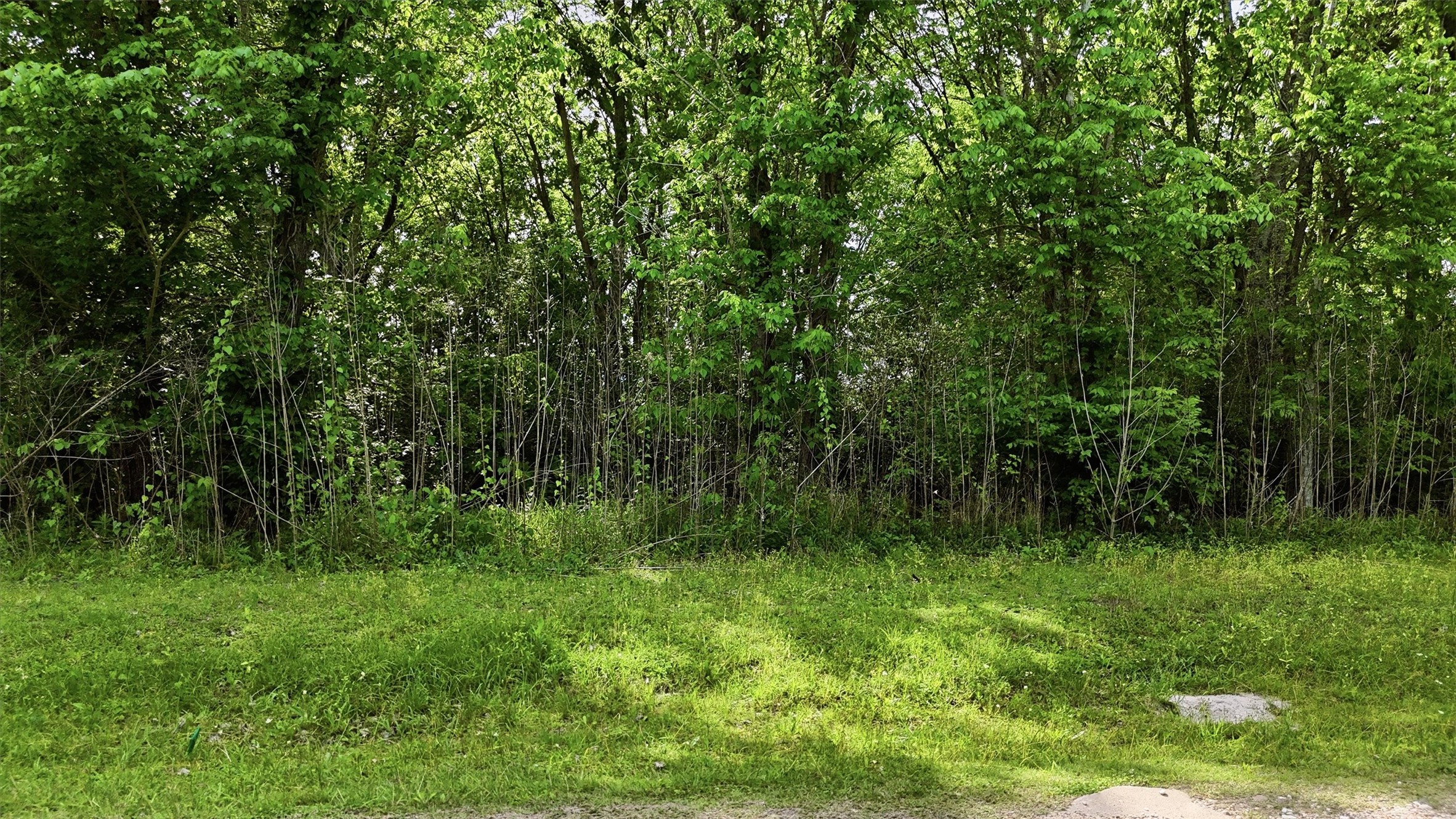 515 Off Spur Property Photo 4