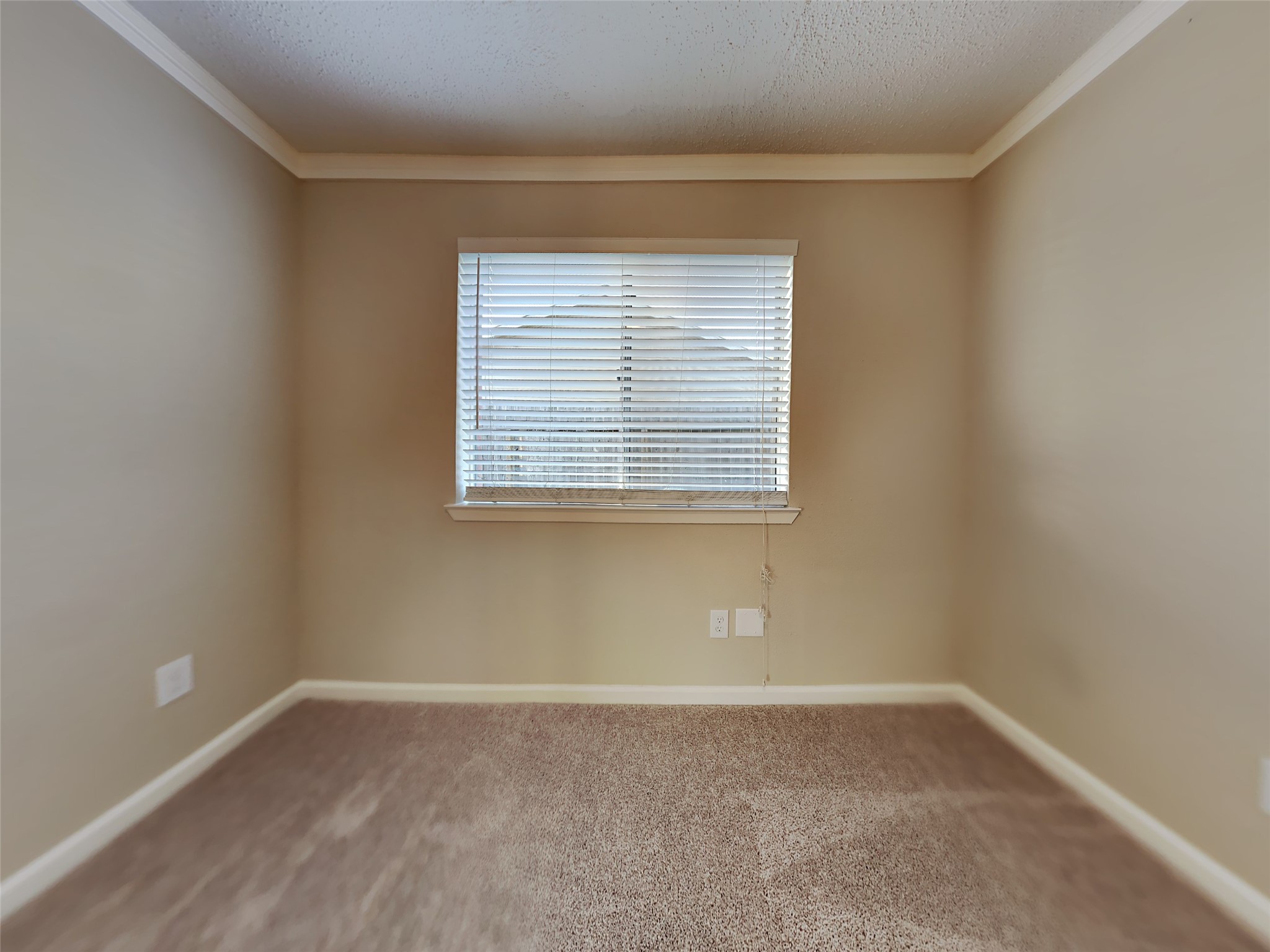 7014 Navidad Road Property Photo 4