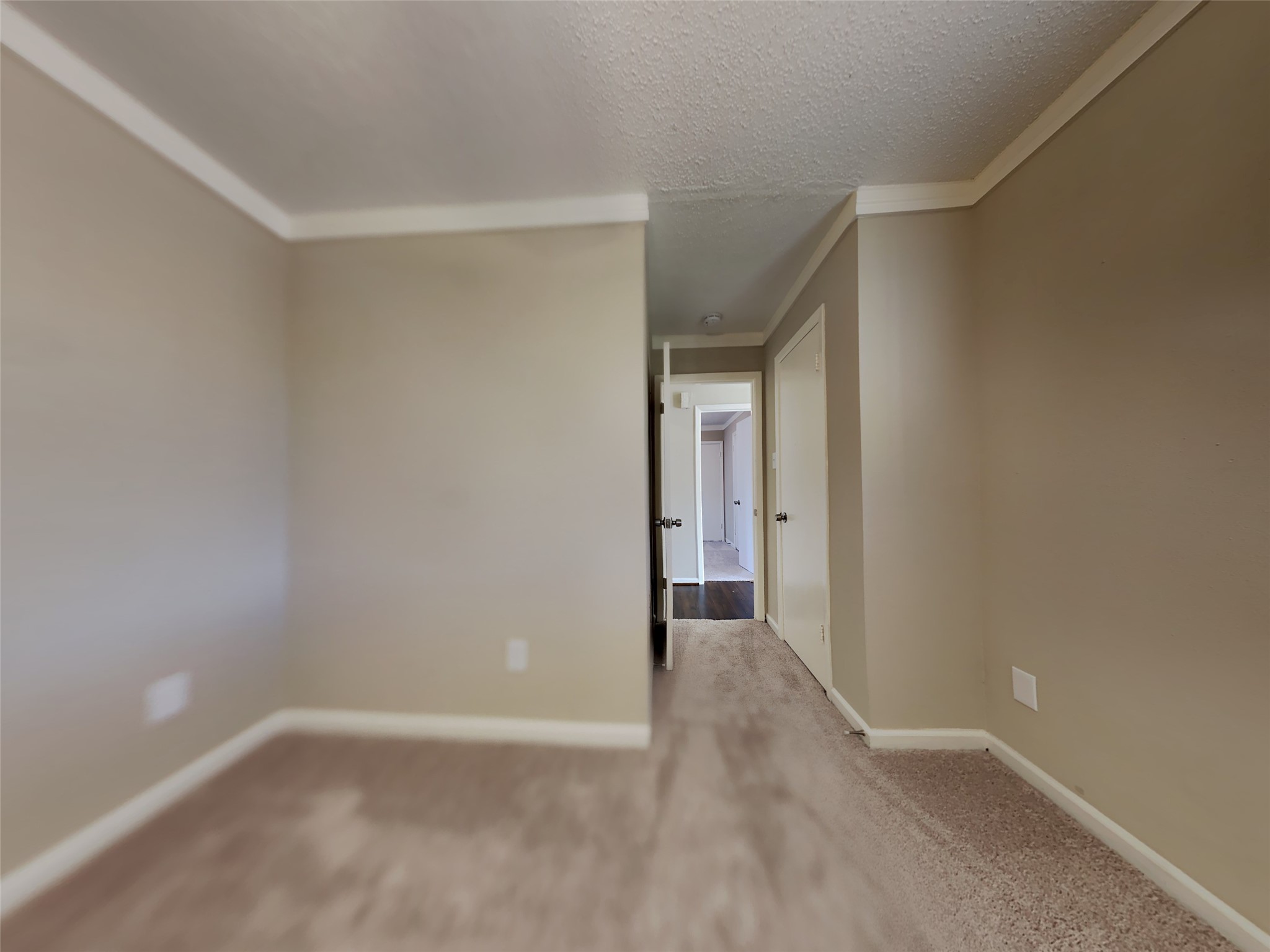 7014 Navidad Road Property Photo 6