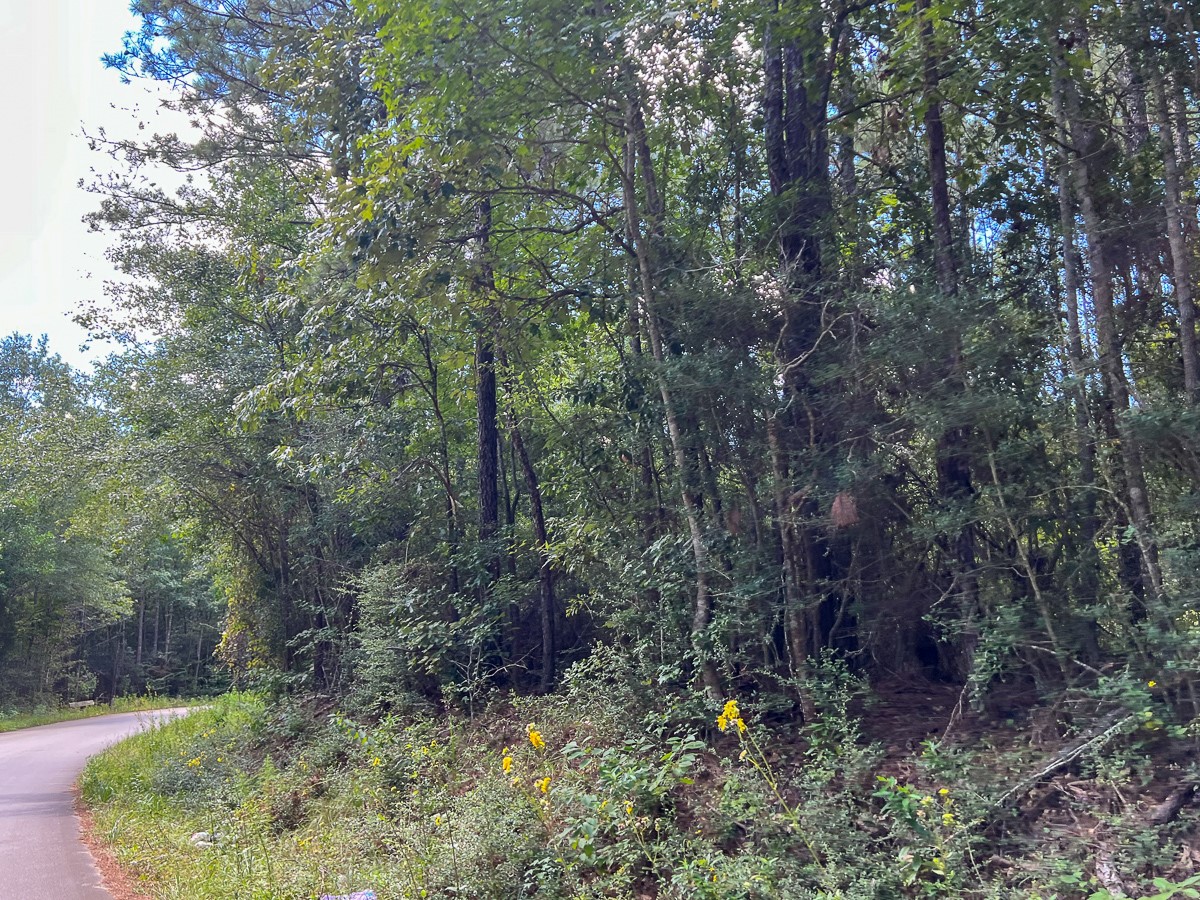 03 Cr 4470 Property Photo 15