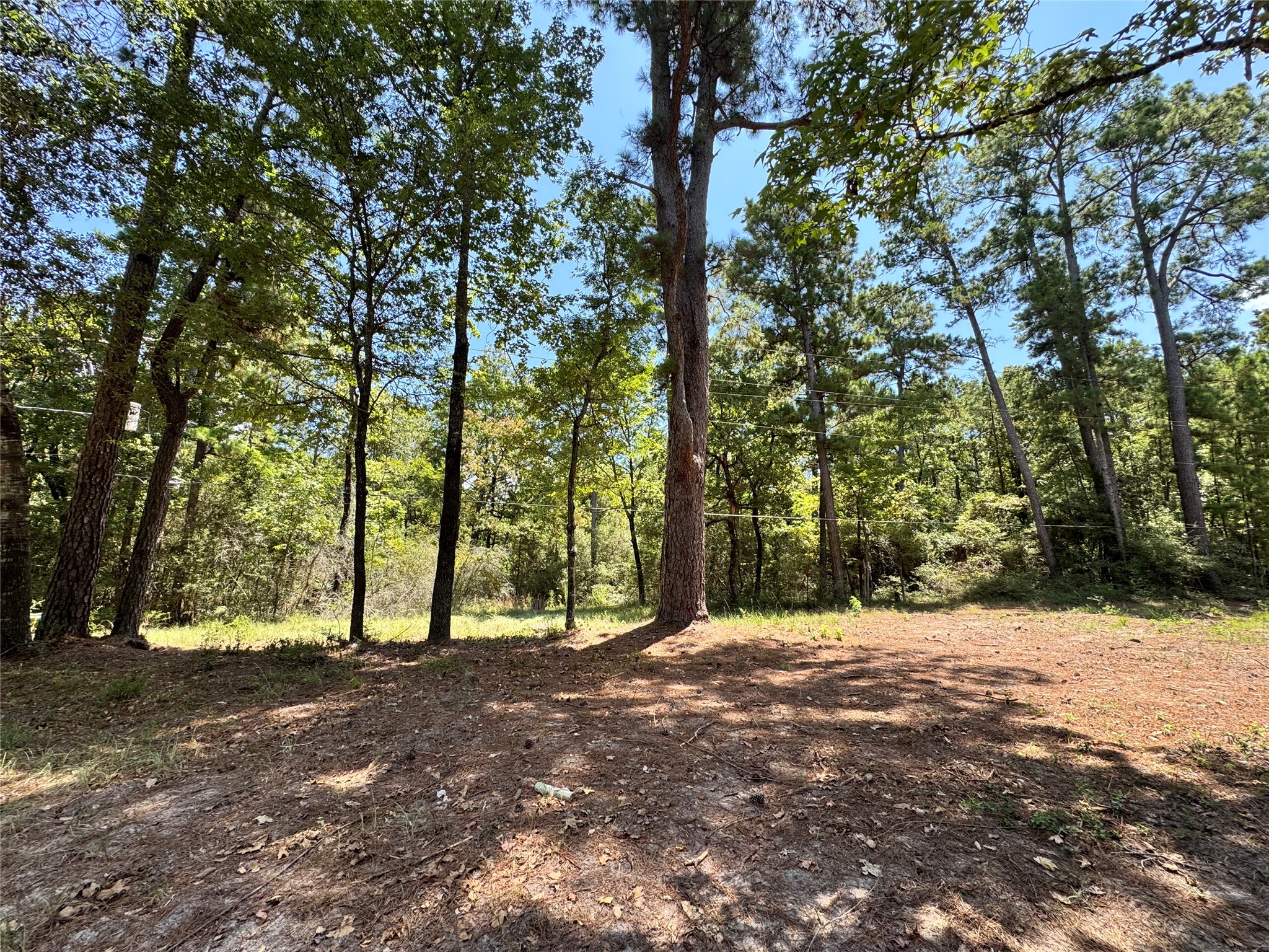 Tbd13 Sparrow Property Photo 4